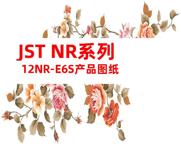 JST NR系列 12NR-E6S产品图纸
